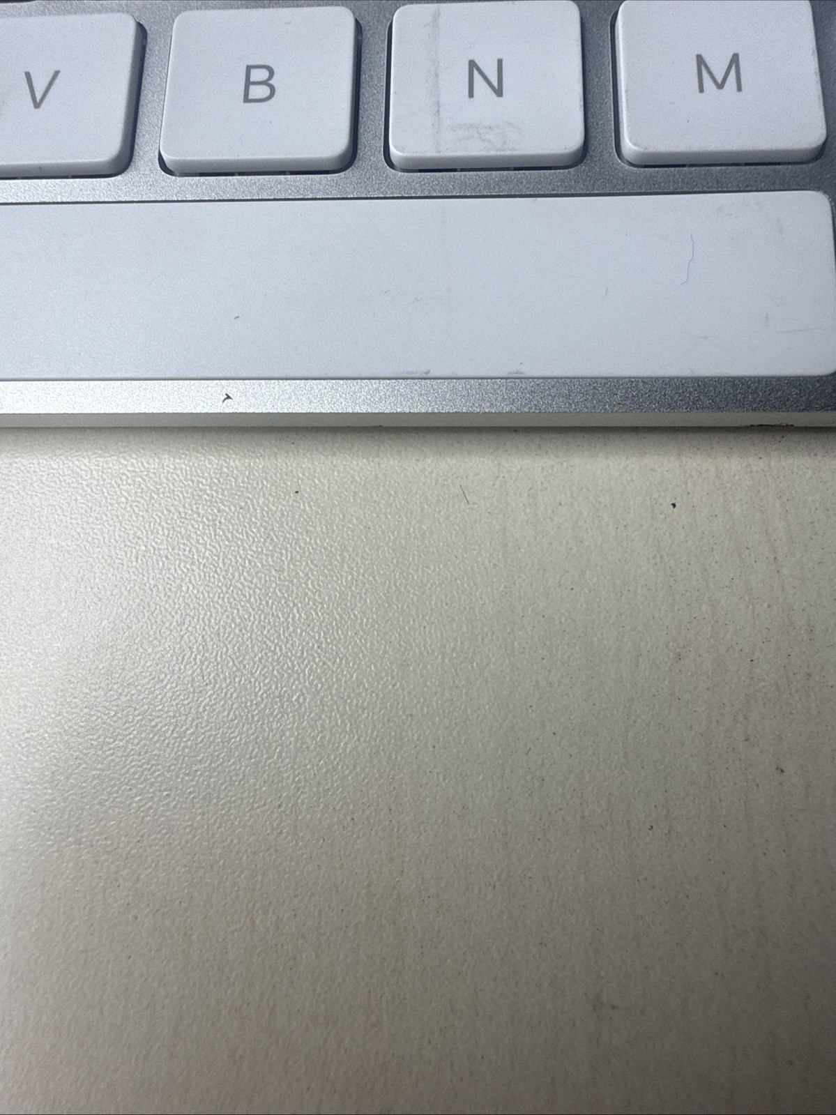 Picture 4 of 4