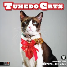 Tuxedo Cats 2026 Wall Calendar 12 Month | 12" X 24" Open | Thick & Sturdy Paper