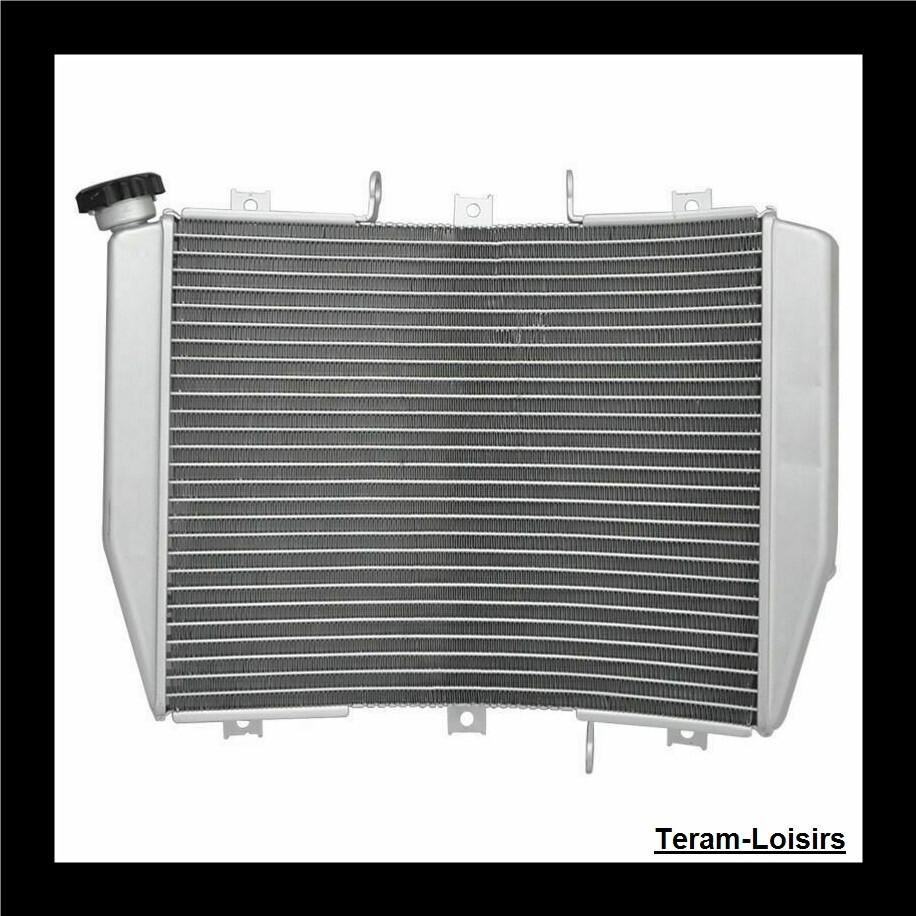 rairai Motorcycle Radiator for Kawasaki ZX6R 1998-1999 – TARAZON