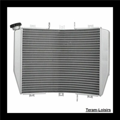 Radiator For KAWASAKI Ninja ZX-6R 1998 1999 2000 2001 2002 NEW | eBay