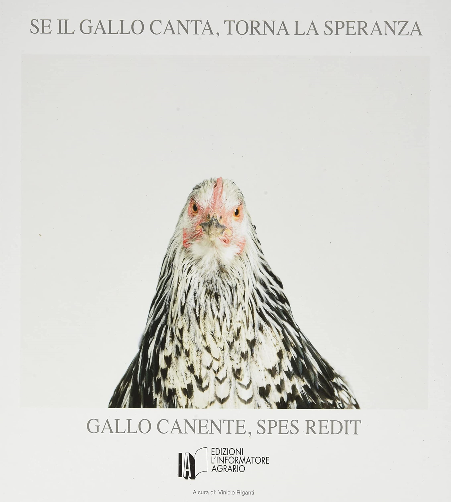 Libri Se Il Gallo Canta, Torna La Speranza. Gallo Canente, Spes Redit