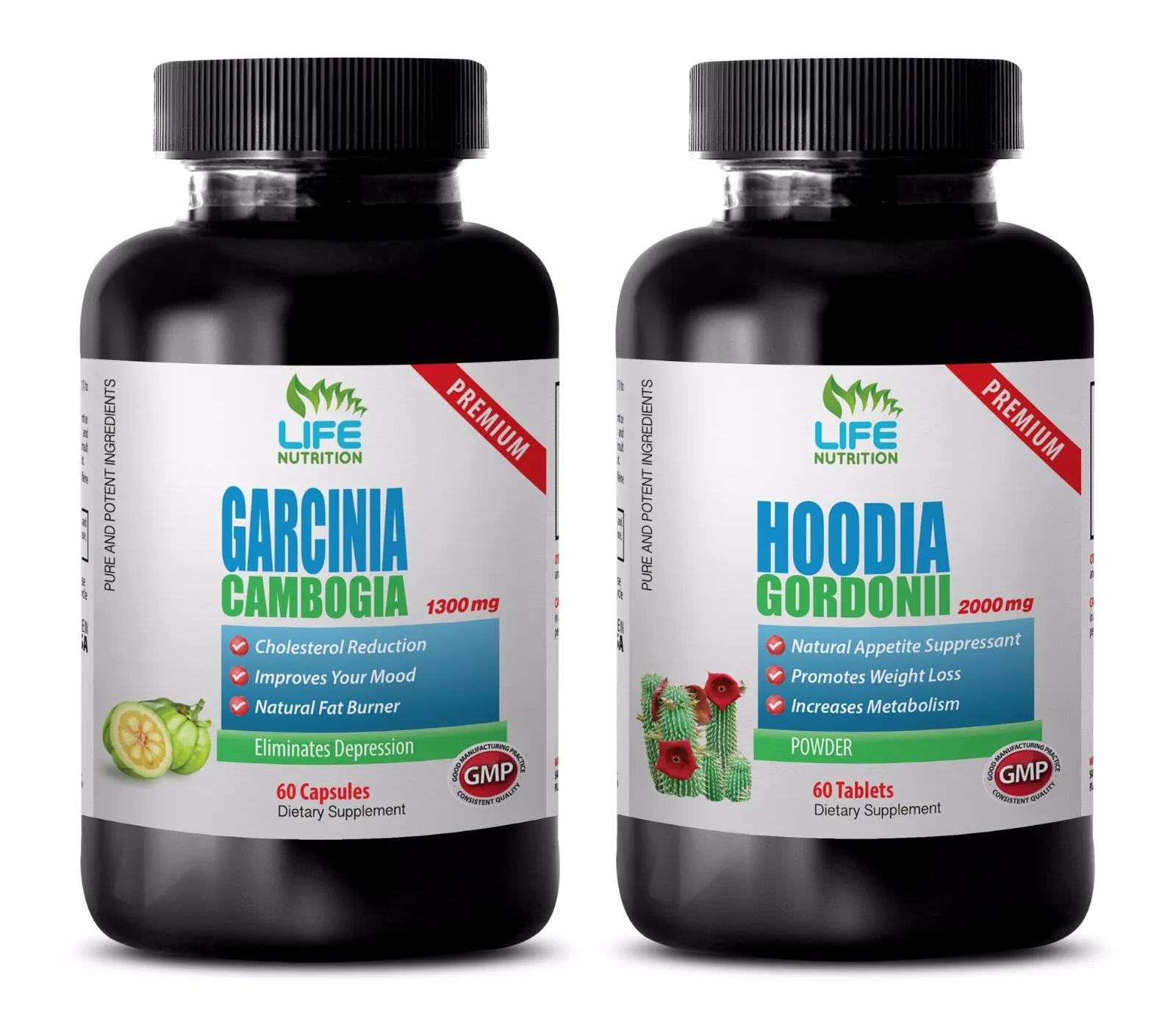 energy and focus supplement - GARCINIA CAMBOGIA – HOODIA GORDONII COMBO 2B - gar