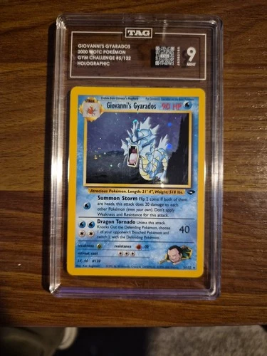 Giovanni's Gyarados Holo Rare Gym Challenge TAG 9 Mint