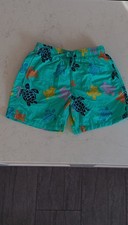 Vilebrequin Boys Swim Shorts Turquoise Turtle Print Size 14 Ans