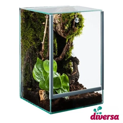 DIVERSA (57,20€/Stk.) Terrarium 15x15x20cm Glas Spinnen Spider Falltür Belüftung