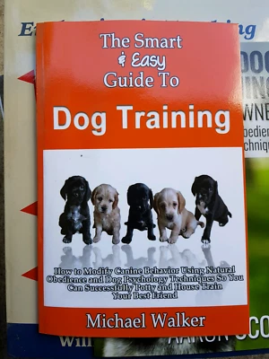 gumtree basset hound