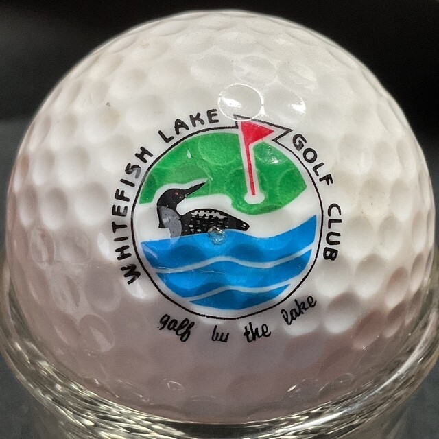 Course: Logo Balls