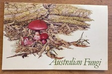 Australia Fungi Mushrooms presentation Pack