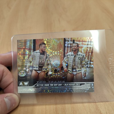 AEW - BETTER THAN YOU BAY BAY - PYRO - UPPER DECK 2024 CARD - MJF & ADAM COLE