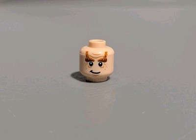 LEGO 2012 Hobbit Minifigure Head Nori the Dwarf Smile / Angry 3626cpb0834 79010