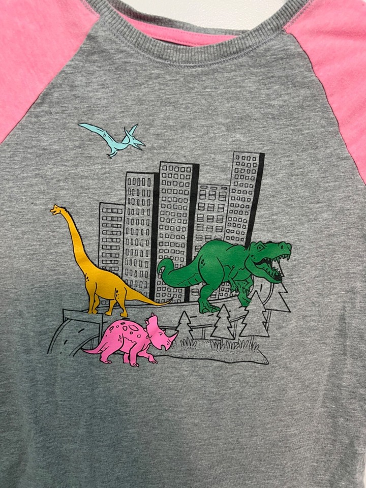 Cat & Jack Raglan Dinosaur Top Girls Size M 78 Gray Dinosaur Shirt eBay