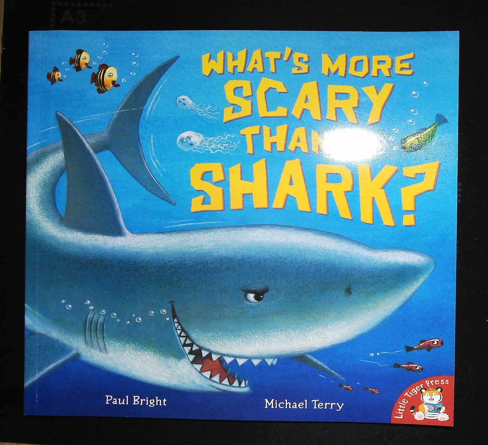 What's More Scary than a Shark Paul Bright Children's Story Book NEW