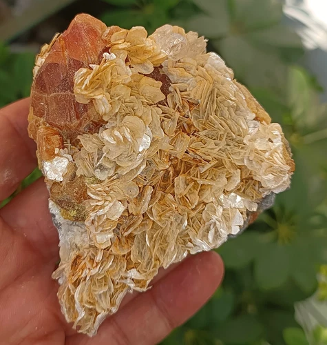 248g Top Natural Orange Octahedral Scheelite Mica Mineral Specimen China