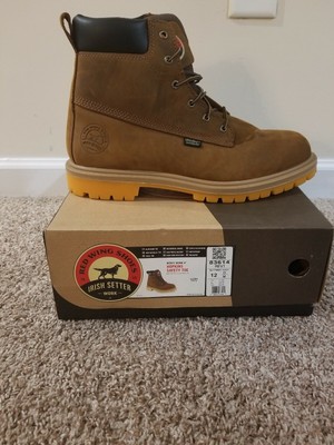 irish setter hopkins