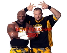 THE DUDLEY'S WRESTLER 8 X 10 WRESTLING PHOTO WWE ECW