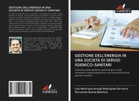 Gestione Dell'energia IN UNA SocietÀ DI Servizi IGIENICO-SANITARI Taschenbuch