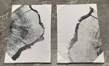 SIGNWIN Canvas Wall Art Black and White Trees Ring 16" x 24" x 2 Panels