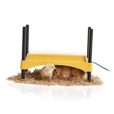 Ecoglow Safety 600 Chick or Duckling Brooder, Adjustable Up to 20 Chicks