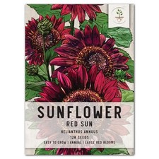 Red Sun Sunflower Seeds For Planting Helianthus annuus 