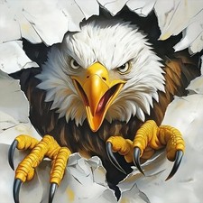 Reluohuo Bald Eagle Diamond Art Kits for Adults, 5D 12X12 Inches, Multicolor