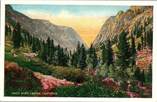 Postcard SCENE Kings Canyon National Park California CA a/01 AJ3552
