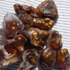 RimRock: 8 oz ARIZONA FIRE AGATE Tumbled Rough
