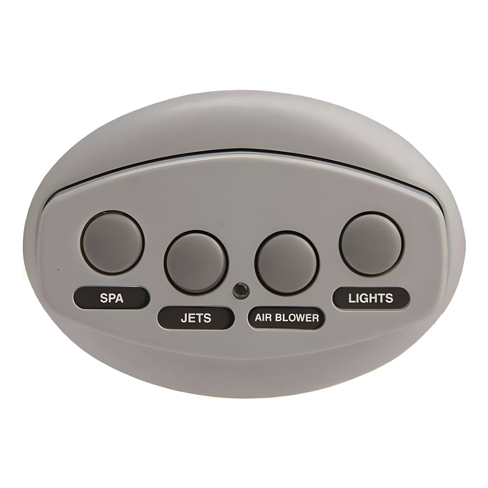 Pentair 521886 iS4 Spa-Side Remote Control 100' Cord - Gray