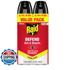 Raid Defend Ant and Roach Insect Killer, Indoor Insecticide, 20 oz. (2-Pack)