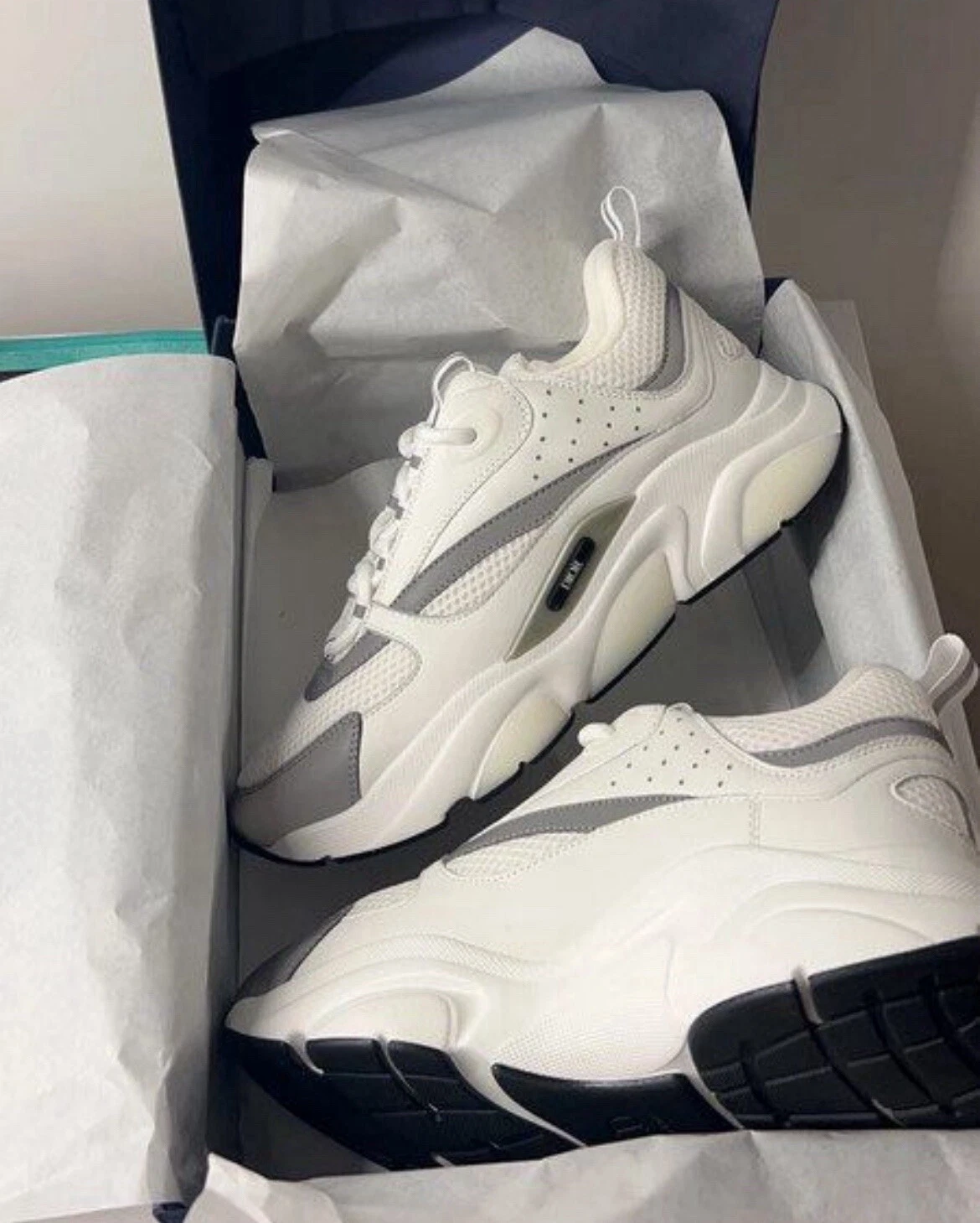 Dior B22