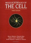 Molecular Biology Of The Cell  von Bruce Alberts | Buch | Zustand sehr gut