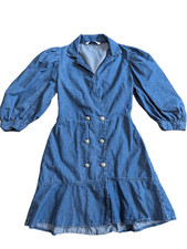 Zara double breasted denim dress Small