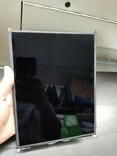 Ipad Air 1st Generation 2013 Lcd Oem Snd iPad 5th Generation