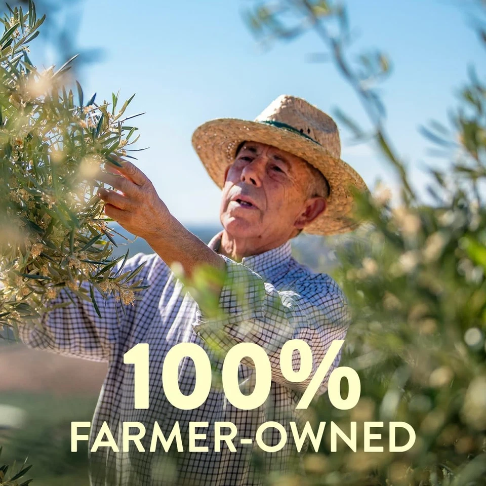 Aceite de Oliva Virgen Extra Pompeya Robusto 68 Fl Oz Primer Prensado en Frío Sin OGM Foto 3 de 4