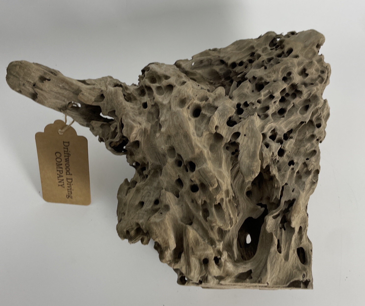 12x10x6” Pecky Cypress Driftwood Unfinished Natural Aquarium Plant