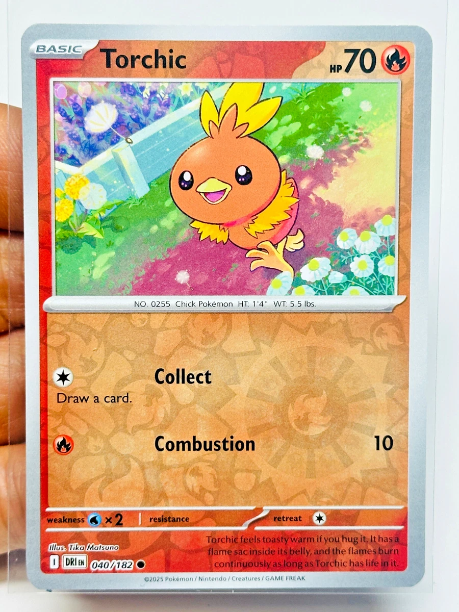 Torchic Pokémon TCG Cards for sale | eBay