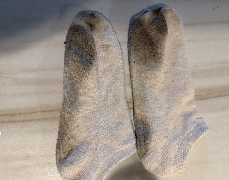 Women's Cotton No-Show gym  sock 2 week wear