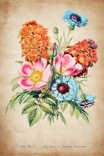 13726.Decor Poster print.Room Wall art design.Flowers bouquet.Floral arrangement