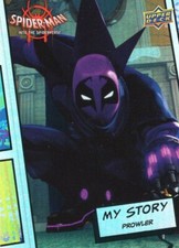 Spider-Man Into The Spider-Verse My Story Kar...