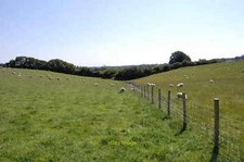 Photo 12x8 Fields near Hartridge Manor Farm Cranbrooke Common  c2012