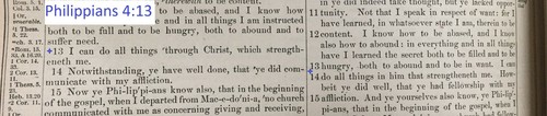 Pronouncing Parallel Pictorial Family Holy Bible by A.J. Holman Philly, PA 1893 - Picture 10 of 14