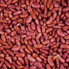 Large Kidney Beans