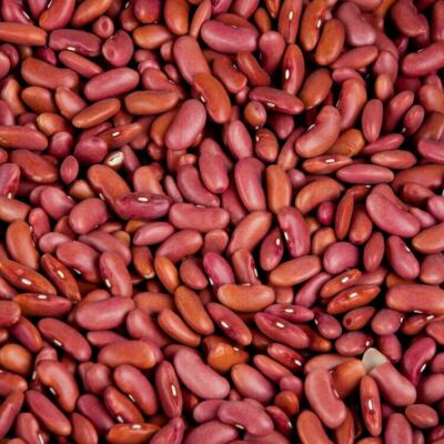 Large Kidney Beans 