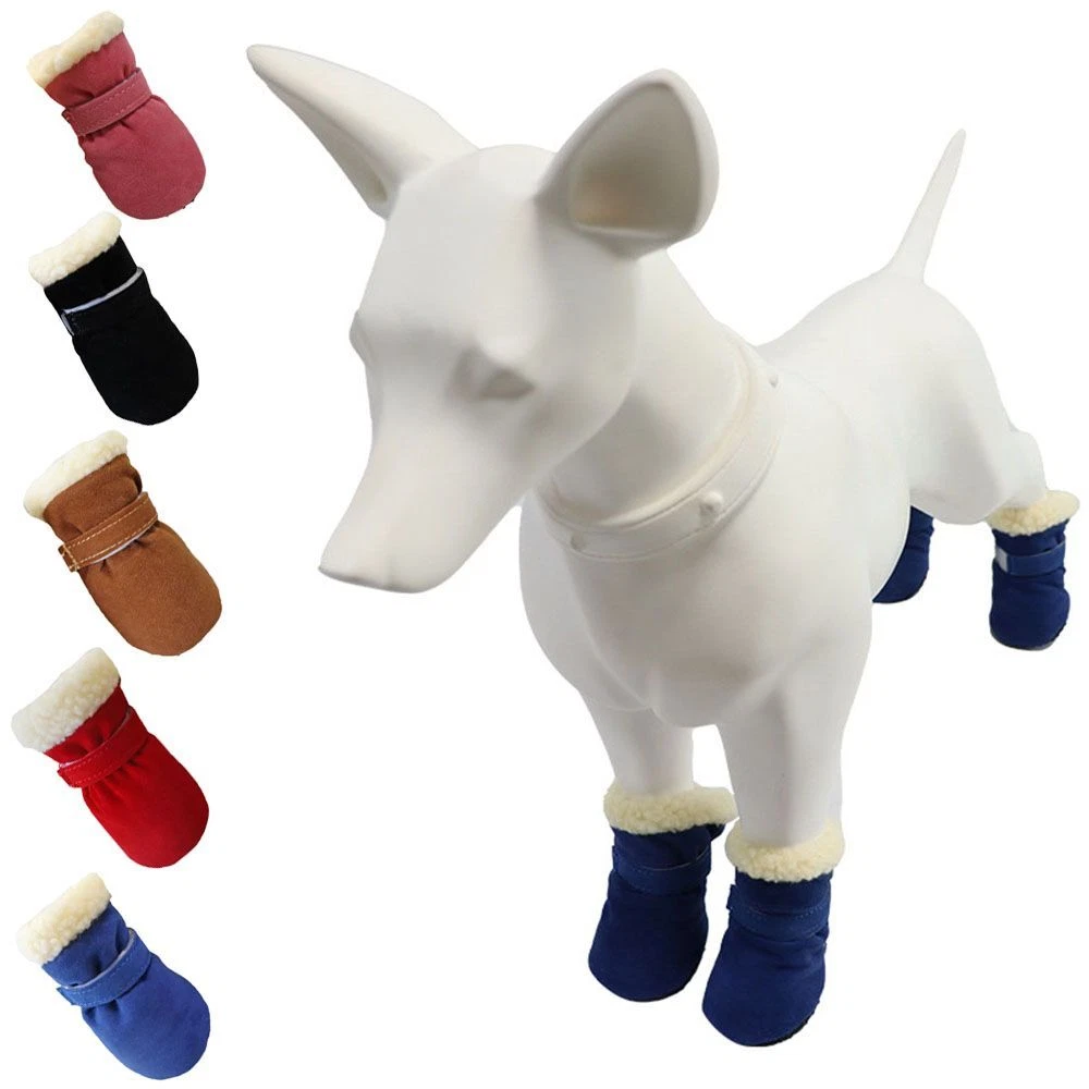 Anti scratch 2025 dog shoes