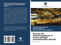 Osvaldo Valarini Junior (U. A.) | Analyse Der Arbeitsumgebung In Einem...