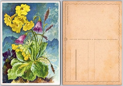 Continental Stuttgart Germany Flowers Postcard