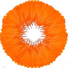 120pcs Goose Feathers 6-8 Inch 15-20cm Decorative Natural Goose Nagoire Orange