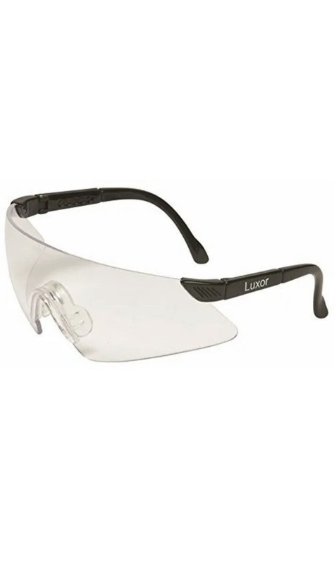MSA 697516 SPECTACLES, LUXOR, CLEAR-NEW