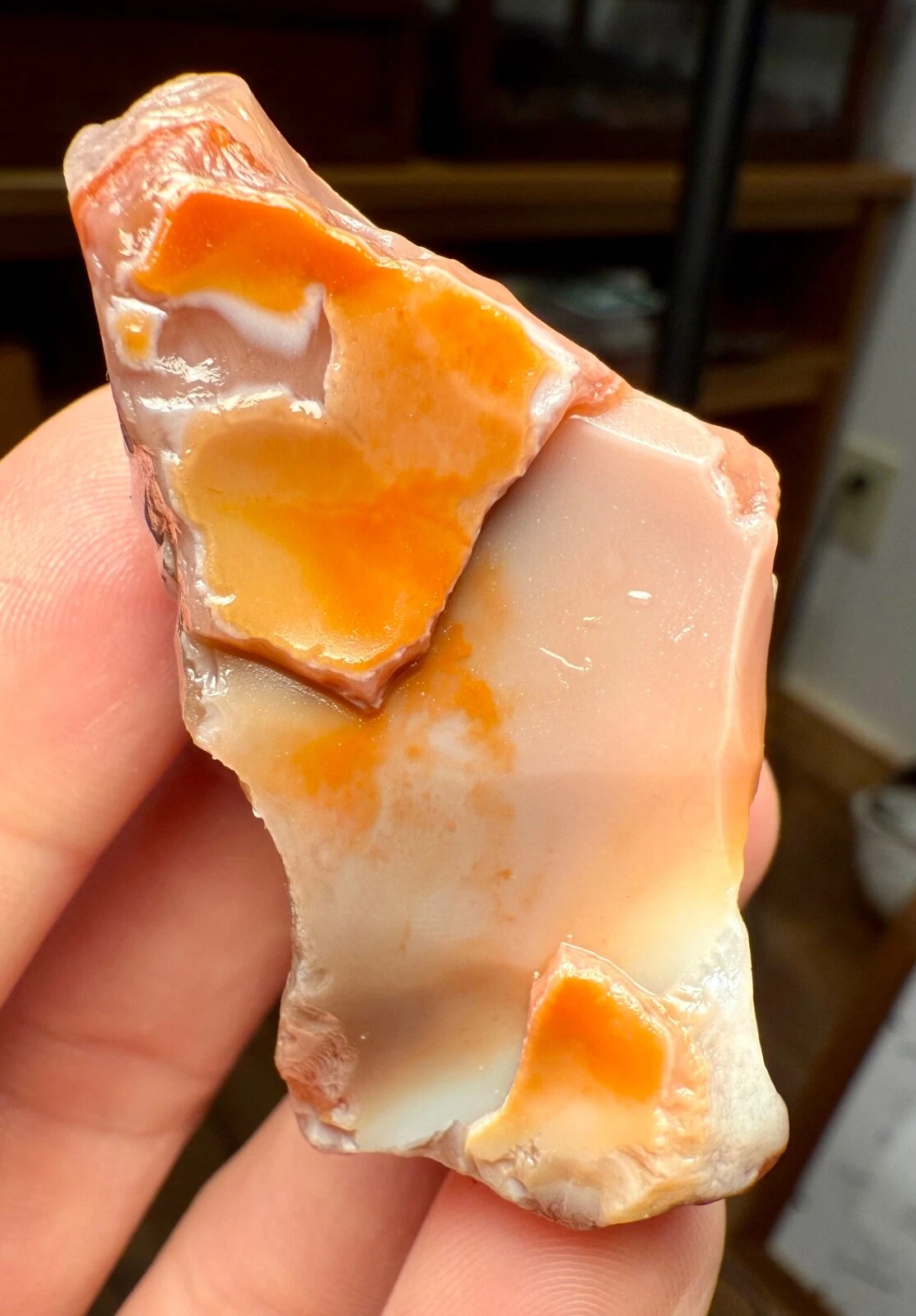 1.35oz LAKE SUPERIOR AGATE PEELER, GREAT BRIGHT COLORS FLAME PATTERN BANDING