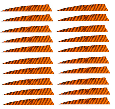 20 Stück Gateway Federn Shield 4'' Barred Orange Pfeilfedern Naturfedern 