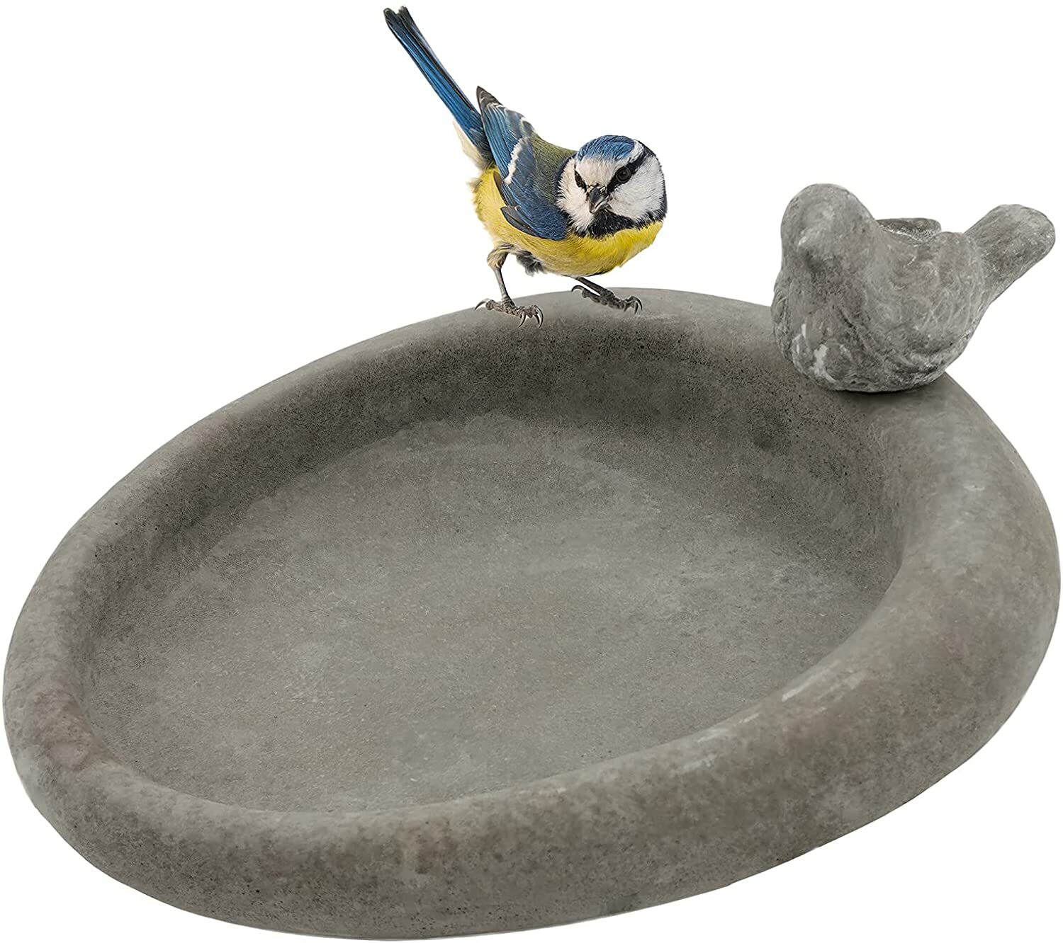 Vogeltränke Vogelbad Vogel Bienen Vögel Grelly Deutschland